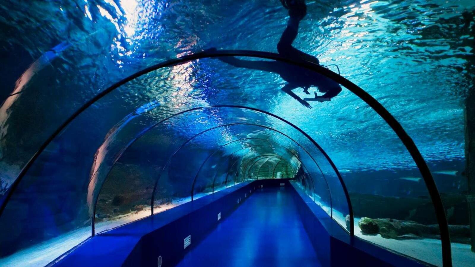 Far Life Hotel أنطاليا المظهر الخارجي الصورة